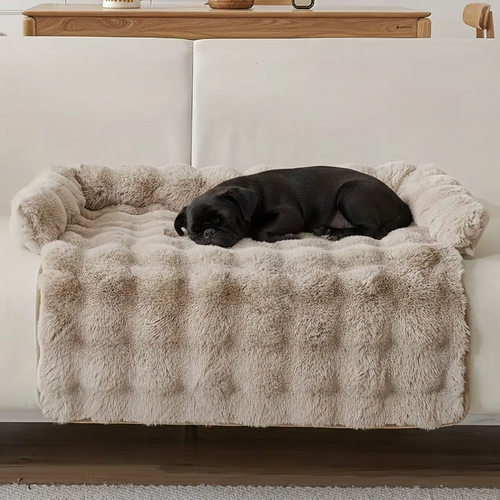 CloudPaws™ Couch Cover